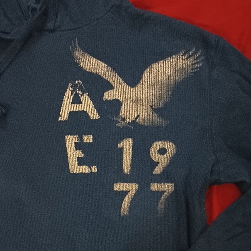 American Eagle Outfitters Authentic Quality Mens Blue Hoodie Sweater Size M - Picture 3 of 5